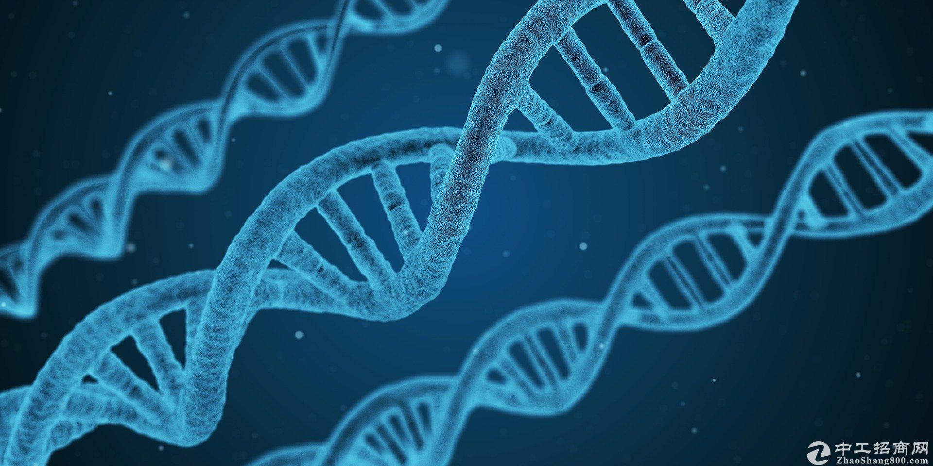 「产业分析」生命健康行业：暴增77倍！科兴生物去年营收1280亿，净利润956亿