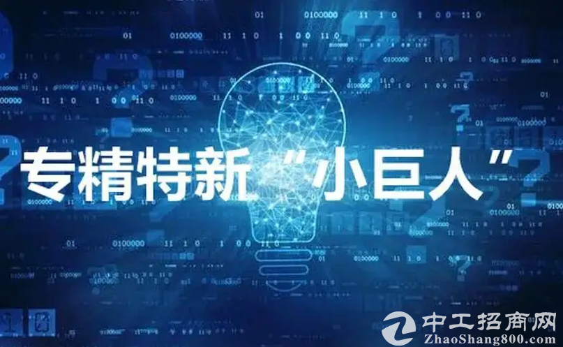 2022专精特新“小巨人”上市企业top500